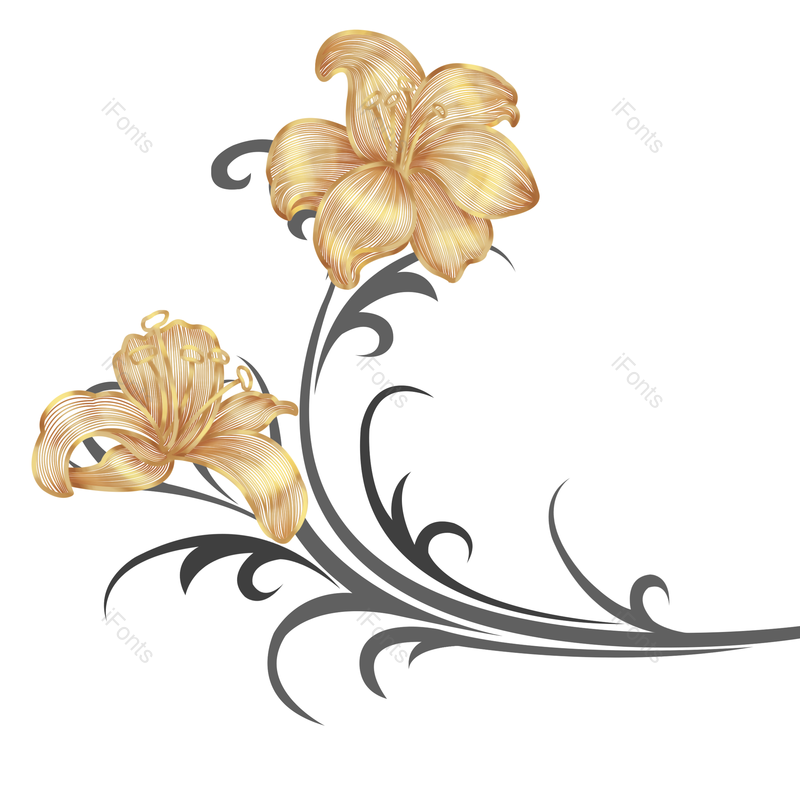 百合图片,花瓣元素,植物PNG,花线描免抠素材